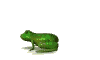 grenouille.gif (10009 octets)